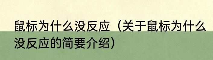 鼠标为什么没反应（关于鼠标为什么没反应的简要介绍）