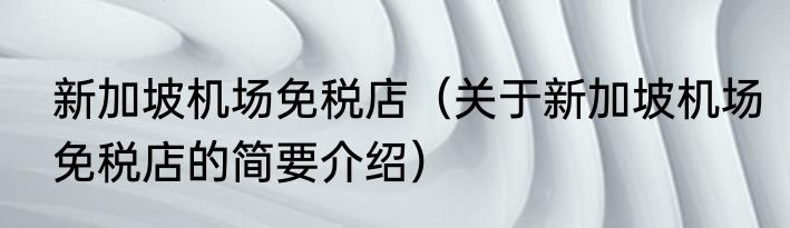 新加坡机场免税店（关于新加坡机场免税店的简要介绍）