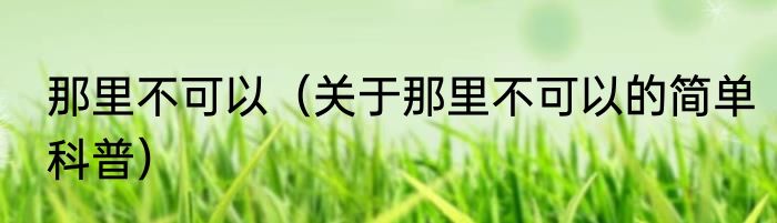 那里不可以（关于那里不可以的简单科普）