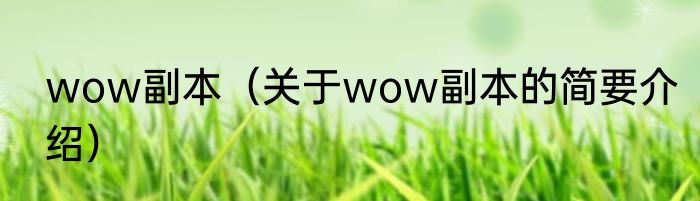 wow副本（关于wow副本的简要介绍）