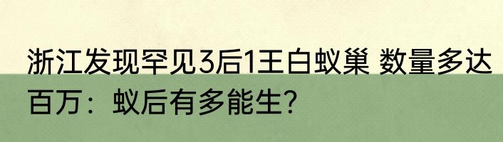 浙江发现罕见3后1王白蚁巢 数量多达百万：蚁后有多能生？