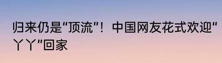 归来仍是“顶流”！中国网友花式欢迎“丫丫”回家