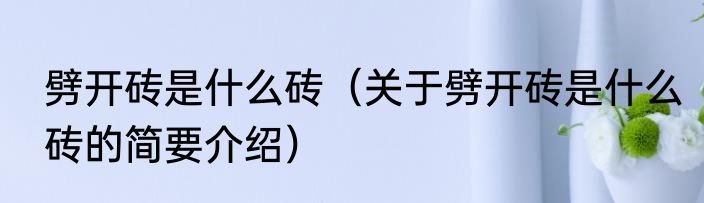 劈开砖是什么砖（关于劈开砖是什么砖的简要介绍）