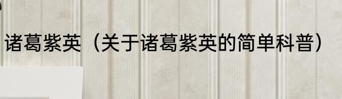 诸葛紫英（关于诸葛紫英的简单科普）