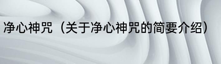 净心神咒（关于净心神咒的简要介绍）