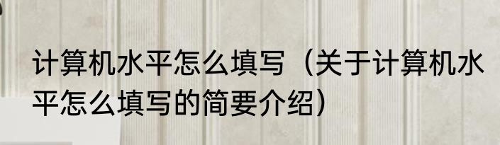 计算机水平怎么填写（关于计算机水平怎么填写的简要介绍）