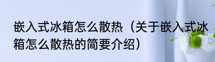 嵌入式冰箱怎么散热（关于嵌入式冰箱怎么散热的简要介绍）