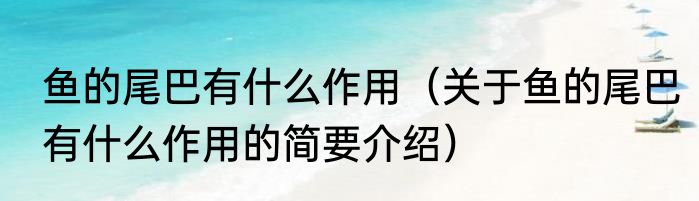 鱼的尾巴有什么作用（关于鱼的尾巴有什么作用的简要介绍）