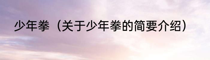 少年拳（关于少年拳的简要介绍）
