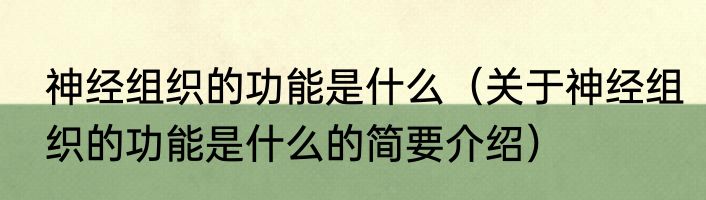 神经组织的功能是什么（关于神经组织的功能是什么的简要介绍）