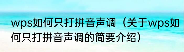 wps如何只打拼音声调（关于wps如何只打拼音声调的简要介绍）