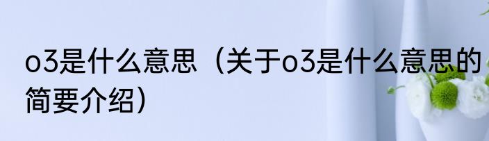 o3是什么意思（关于o3是什么意思的简要介绍）