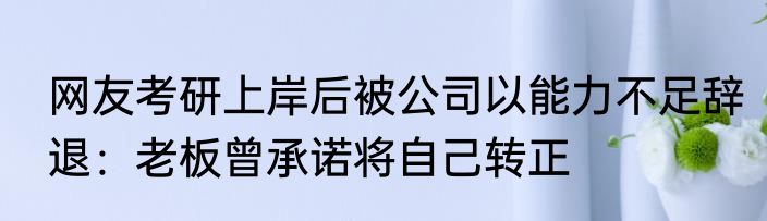 网友考研上岸后被公司以能力不足辞退：老板曾承诺将自己转正