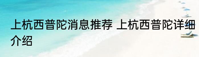 上杭西普陀消息推荐 上杭西普陀详细介绍