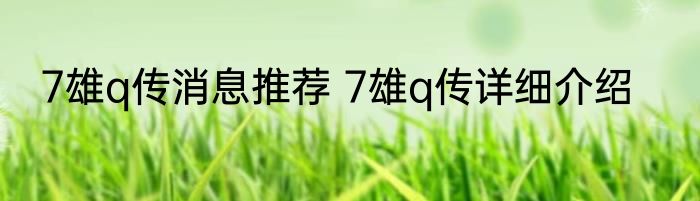 7雄q传消息推荐 7雄q传详细介绍