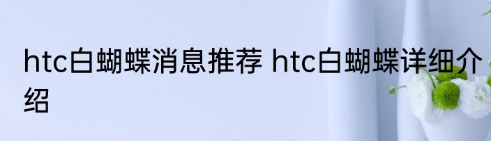 htc白蝴蝶消息推荐 htc白蝴蝶详细介绍