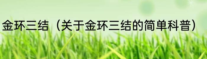 金环三结（关于金环三结的简单科普）