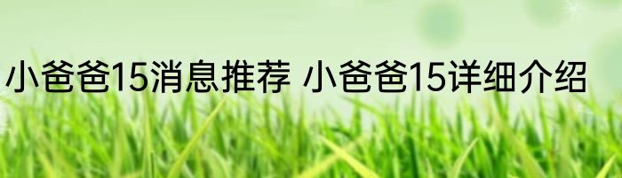 小爸爸15消息推荐 小爸爸15详细介绍