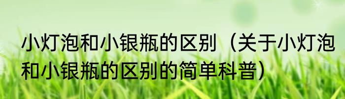 小灯泡和小银瓶的区别（关于小灯泡和小银瓶的区别的简单科普）
