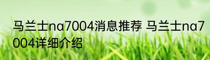 马兰士na7004消息推荐 马兰士na7004详细介绍