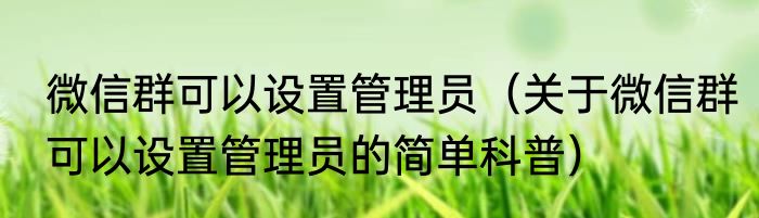 微信群可以设置管理员（关于微信群可以设置管理员的简单科普）