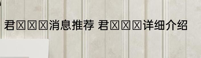 君がいて消息推荐 君がいて详细介绍