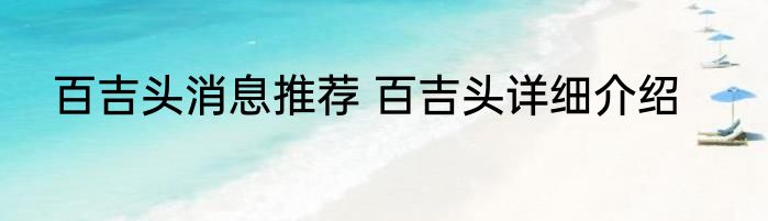 百吉头消息推荐 百吉头详细介绍