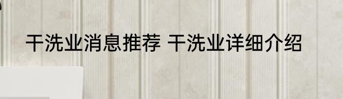 干洗业消息推荐 干洗业详细介绍