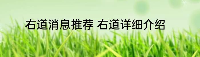右道消息推荐 右道详细介绍