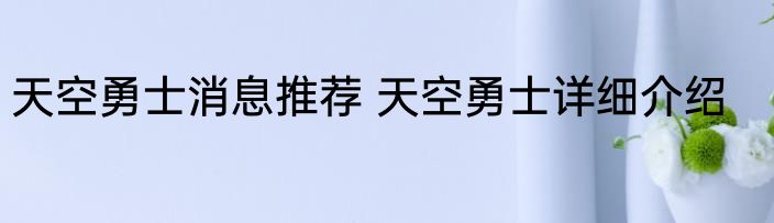 天空勇士消息推荐 天空勇士详细介绍