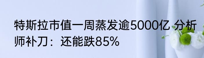 特斯拉市值一周蒸发逾5000亿 分析师补刀：还能跌85%