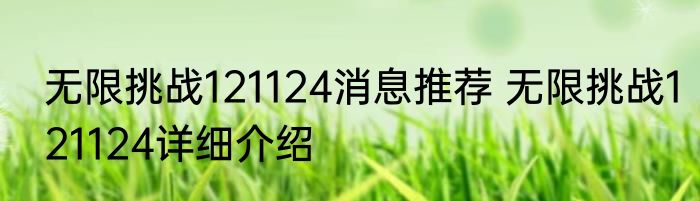 无限挑战121124消息推荐 无限挑战121124详细介绍
