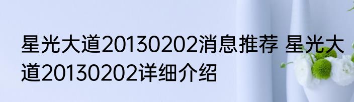 星光大道20130202消息推荐 星光大道20130202详细介绍