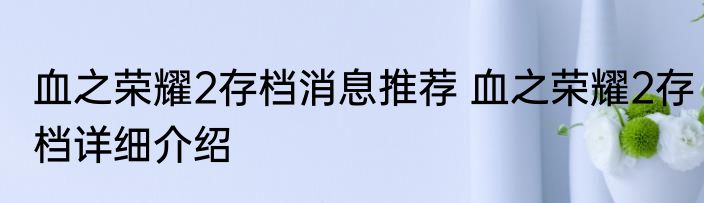 血之荣耀2存档消息推荐 血之荣耀2存档详细介绍