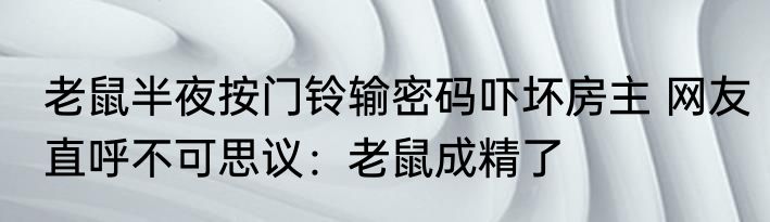 老鼠半夜按门铃输密码吓坏房主 网友直呼不可思议：老鼠成精了