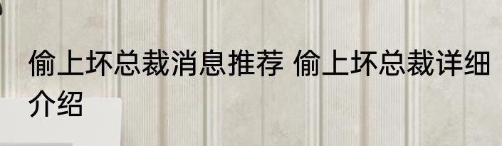 偷上坏总裁消息推荐 偷上坏总裁详细介绍