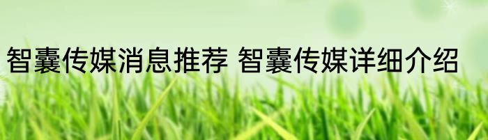 智囊传媒消息推荐 智囊传媒详细介绍