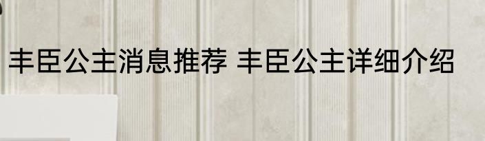 丰臣公主消息推荐 丰臣公主详细介绍