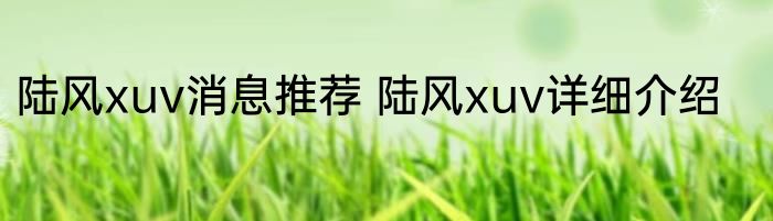 陆风xuv消息推荐 陆风xuv详细介绍