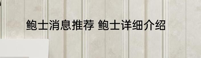 鲍士消息推荐 鲍士详细介绍