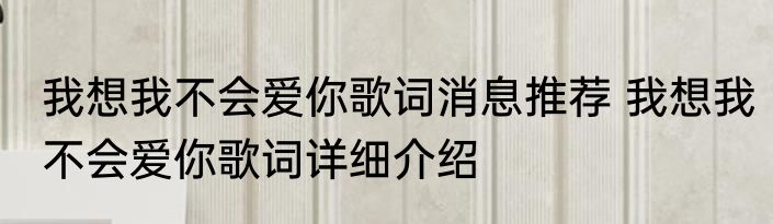 我想我不会爱你歌词消息推荐 我想我不会爱你歌词详细介绍