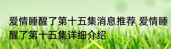 爱情睡醒了第十五集消息推荐 爱情睡醒了第十五集详细介绍