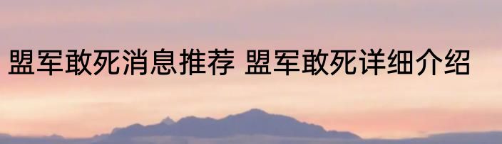 盟军敢死消息推荐 盟军敢死详细介绍