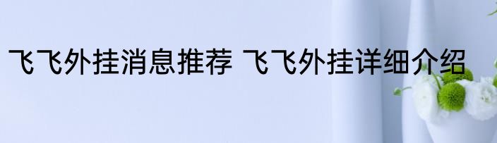 飞飞外挂消息推荐 飞飞外挂详细介绍