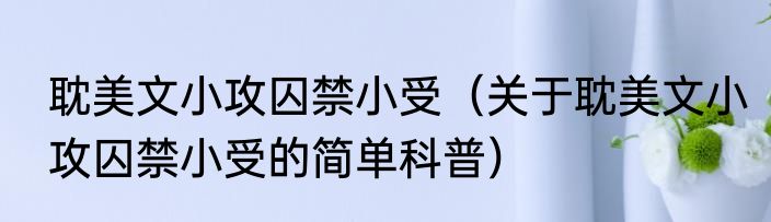 耽美文小攻囚禁小受（关于耽美文小攻囚禁小受的简单科普）