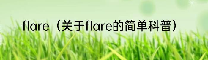 flare（关于flare的简单科普）