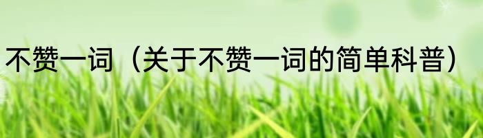 不赞一词（关于不赞一词的简单科普）