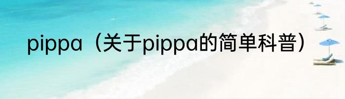 pippa（关于pippa的简单科普）