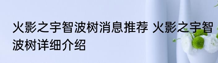火影之宇智波树消息推荐 火影之宇智波树详细介绍