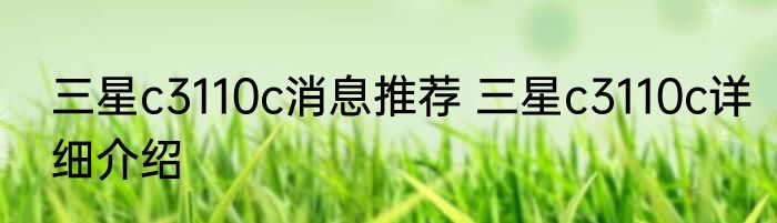三星c3110c消息推荐 三星c3110c详细介绍